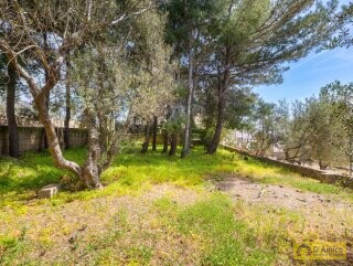 foto immobile Villa Vista Mare da Completare, con Giardino, a 400 metri dalla Spiaggia n. 21