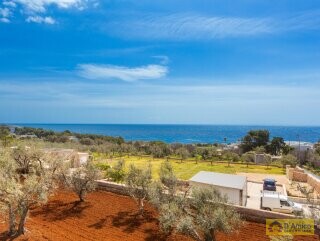 foto immobile Villa Vista Mare da Completare, con Giardino, a 400 metri dalla Spiaggia n. 52