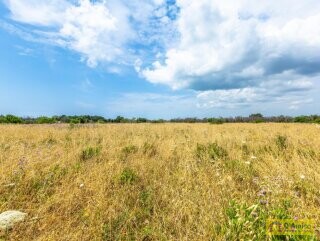foto immobile Villa Tipica, in costruzione, con Piscina, immersa nella campagna del Salento n. 24