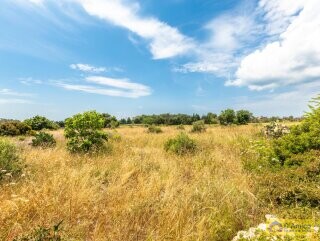 foto immobile Villa con Piscina da Realizzare nelle Campagne  n. 14