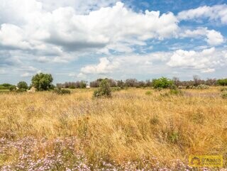 foto immobile Villa con Piscina da Realizzare nelle Campagne  n. 16