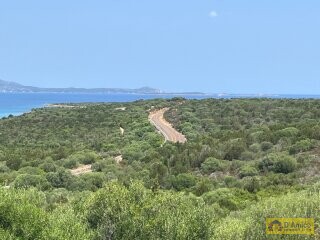 foto immobile Terreni Edificabili e Resort in Vendita in Costa Smeralda n. 6