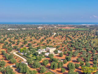 foto immobile Splendida Masseria Vista Mare immersa nelle Campagne n. 3