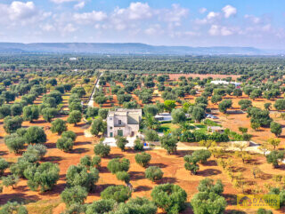 foto immobile Splendida Masseria Vista Mare immersa nelle Campagne n. 6