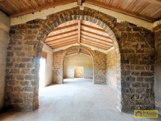 foto immobile Masseria degli Angeli, un'oasi di Salento con Uliveto e Vigneto n. 50