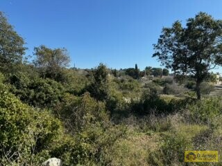 foto immobile Terreno edificabile in vendita a 500mt dal Mare di Torre Vado n. 15