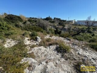 foto immobile Terreno edificabile in vendita a 500mt dal Mare di Torre Vado n. 18