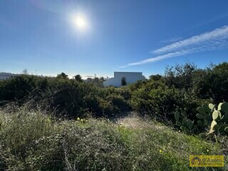 foto immobile Terreno edificabile in vendita a 500mt dal Mare di Torre Vado n. 6