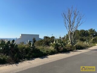 foto immobile Terreno edificabile in vendita a 500mt dal Mare di Torre Vado n. 10