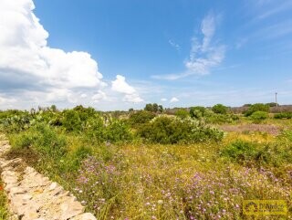 foto immobile Terreno con progetto per Villa con volte a stella e piscina  n. 10