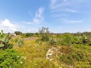 foto immobile Terreno con progetto per Villa con volte a stella e piscina  n. 12
