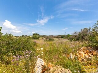 foto immobile Terreno con progetto per Villa con volte a stella e piscina  n. 17