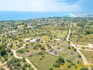 foto immobile Terreno con progetto per Villa con volte a stella e piscina  n. 5