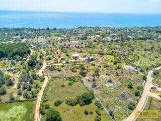 foto immobile Terreno con progetto per Villa con volte a stella e piscina  n. 6