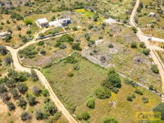 foto immobile Terreno con progetto per Villa con volte a stella e piscina  n. 7