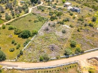 foto immobile Terreno con progetto per Villa con volte a stella e piscina  n. 9