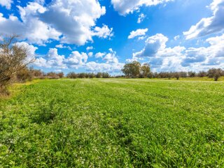 Agricultural building land for villa with pool 