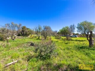 foto immobile Villa chiavi in mano, a Santa Maria di Leuca, con piscina e vista mare n. 18