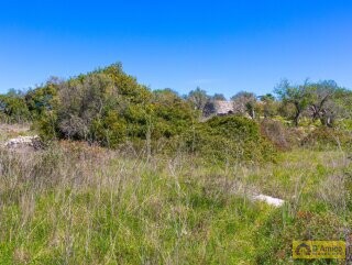 foto immobile Villa chiavi in mano, a Santa Maria di Leuca, con piscina e vista mare n. 19