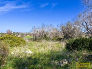 foto immobile Villa chiavi in mano, a Santa Maria di Leuca, con piscina e vista mare n. 22