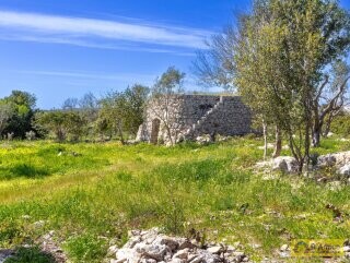 foto immobile Villa chiavi in mano, a Santa Maria di Leuca, con piscina e vista mare n. 23