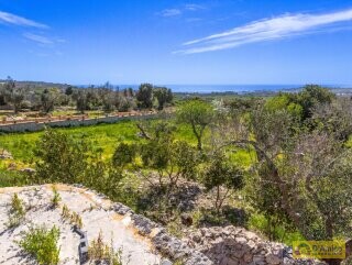foto immobile Villa chiavi in mano, a Santa Maria di Leuca, con piscina e vista mare n. 29