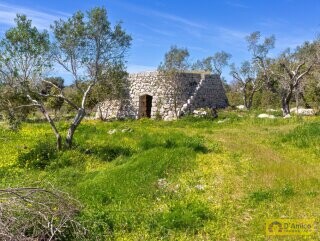 foto immobile Villa chiavi in mano, a Santa Maria di Leuca, con piscina e vista mare n. 25