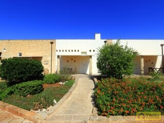 foto immobile Antica Masseria del 1629 con Piscina, Lodge, Scuderie e Frantoio Ipogeo n. 11