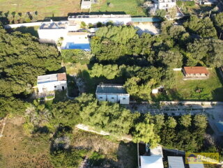 foto immobile Antica Masseria del 1629 con Piscina, Lodge, Scuderie e Frantoio Ipogeo n. 2