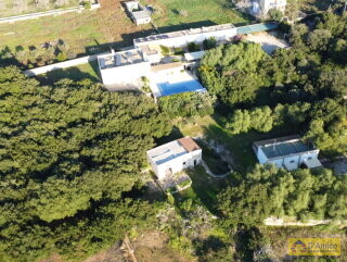 foto immobile Antica Masseria del 1629 con Piscina, Lodge, Scuderie e Frantoio Ipogeo n. 3