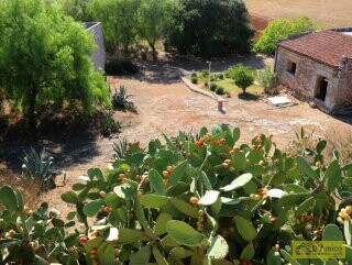 foto immobile Antica Masseria del 1629 con Piscina, Lodge, Scuderie e Frantoio Ipogeo n. 39