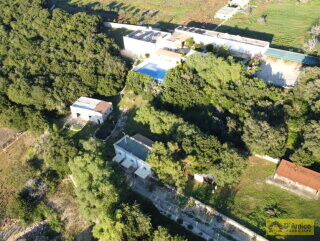 foto immobile Antica Masseria del 1629 con Piscina, Lodge, Scuderie e Frantoio Ipogeo n. 4
