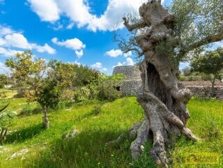 foto immobile Villa vista mare, con Pajara, a Pescoluse n. 24