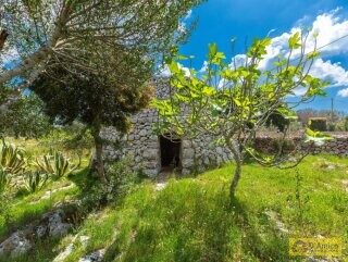 foto immobile Villa vista mare, con Pajara, a Pescoluse n. 25