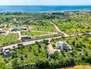 foto immobile Villa vista mare, con Pajara, a Pescoluse n. 34