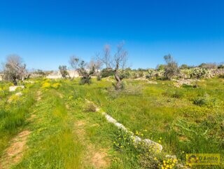 foto immobile Terreno con Progetto di VILLA e Piscina, vista mare, + 2 Lamioni n. 18