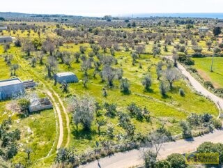 foto immobile Terreno con Progetto di VILLA e Piscina, vista mare, + 2 Lamioni n. 27