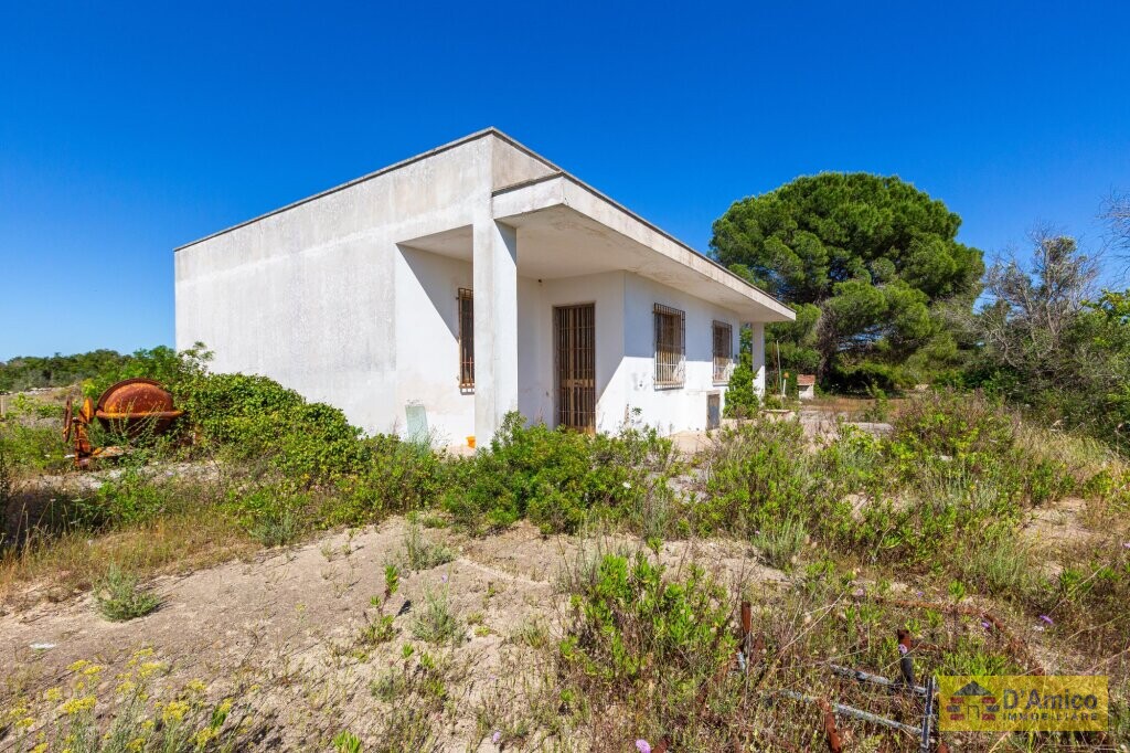 foto immobile Villa vista mare, da ristrutturare, a Pescoluse con possibile Piscina n. 9