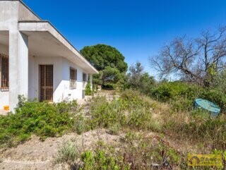 foto immobile Villa vista mare, da ristrutturare, a Pescoluse con possibile Piscina n. 12