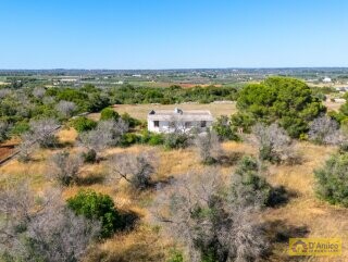 foto immobile Villa vista mare, da ristrutturare, a Pescoluse con possibile Piscina n. 35