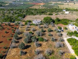 foto immobile Villa vista mare, da ristrutturare, a Pescoluse con possibile Piscina n. 37