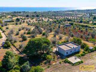 foto immobile Villa vista mare, da ristrutturare, a Pescoluse con possibile Piscina n. 39