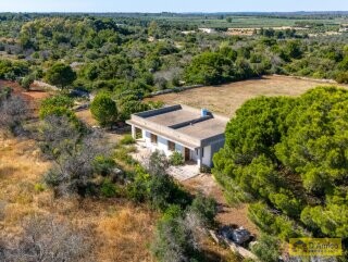 foto immobile Villa vista mare, da ristrutturare, a Pescoluse con possibile Piscina n. 7
