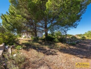 foto immobile Villa vista mare, da ristrutturare, a Pescoluse con possibile Piscina n. 6