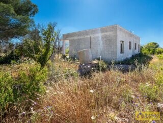 foto immobile Villa vista mare, da ristrutturare, a Pescoluse con possibile Piscina n. 9