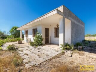 foto immobile Villa vista mare, da ristrutturare, a Pescoluse con possibile Piscina n. 5