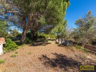 foto immobile Villa vista mare, da ristrutturare, a Pescoluse con possibile Piscina n. 4