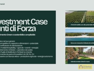 foto immobile Masseria Pugliese del 1800, a 5 minuti dal mare n. 14