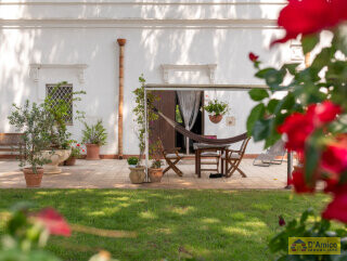 foto immobile Masseria Pugliese del 1800, a 5 minuti dal mare n. 15