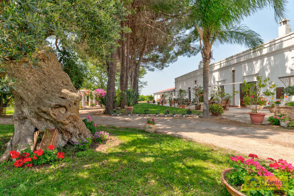 foto immobile Masseria Pugliese del 1800, a 5 minuti dal mare n. 9